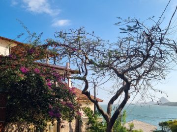 Casa Iriri 5pavimentos